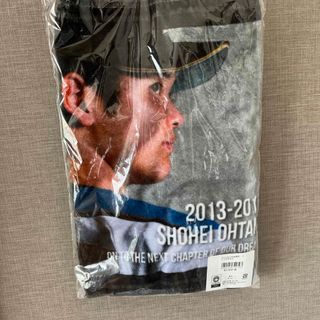 ホッカイドウニホンハムファイターズ(北海道日本ハムファイターズ)の日本ハムファイターズ　大谷翔平　フェイスタオル(趣味/スポーツ)