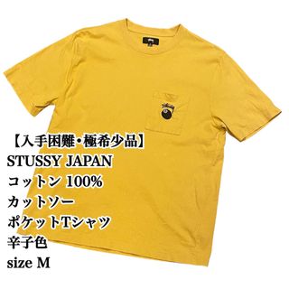 ステューシー(STUSSY)の【入手困難】STUSSY Tシャツ 辛子色 M 8ボール ステューシー ポケット(Tシャツ/カットソー(半袖/袖なし))