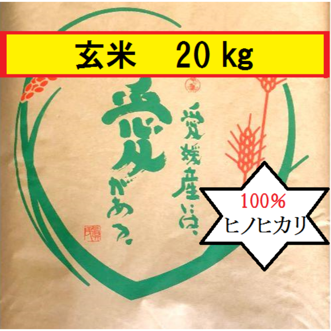 お米 令和5年 愛媛県産ヒノヒカリ 玄米 20㎏