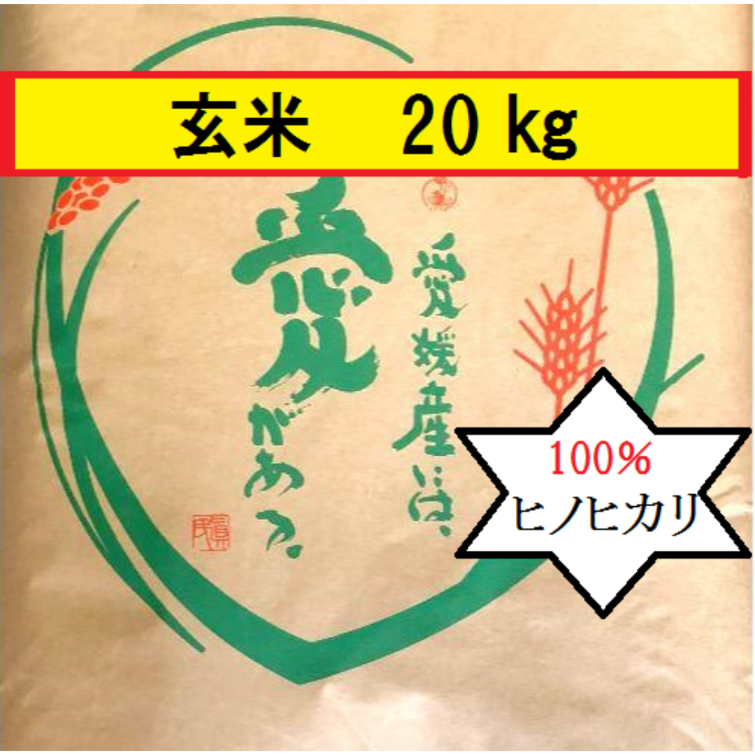 お米　令和5年　愛媛県産ヒノヒカリ　玄米　20㎏ 食品/飲料/酒の食品(米/穀物)の商品写真