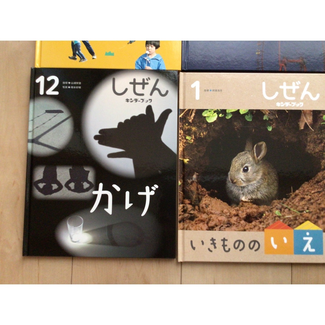キンダーブック しぜん 12冊セット キンダーブック しぜん 12冊セットの通販 by けやき's shop｜ラクマ