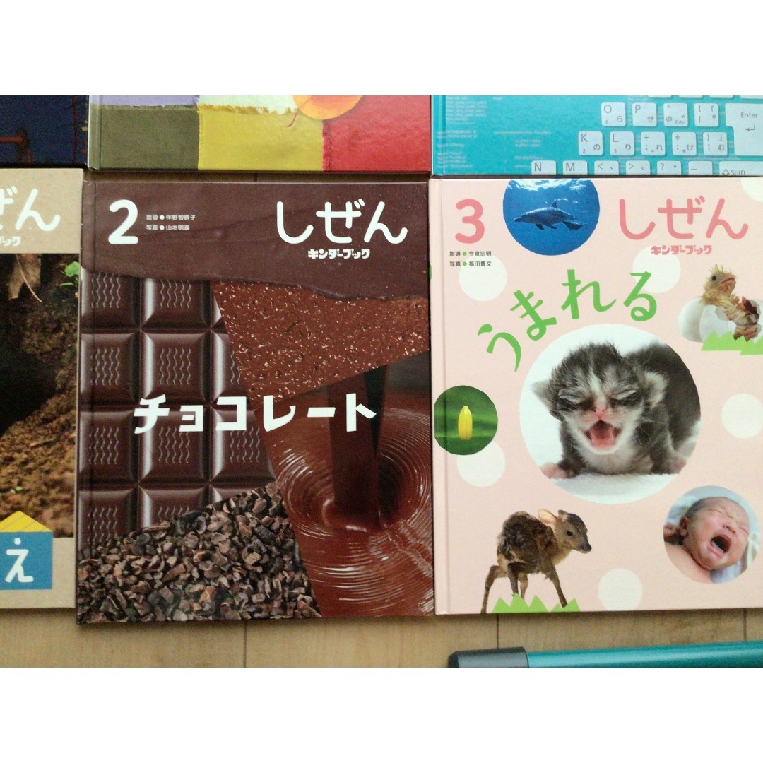 しぜん キンダーブック　12巻セット 2021年 キンダーブック しぜん 第44集 第1編から12編 12冊セット 平成27