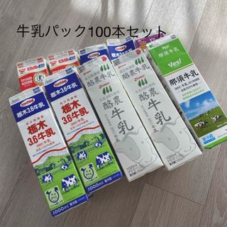 牛乳パック　100本セット　未解体(その他)