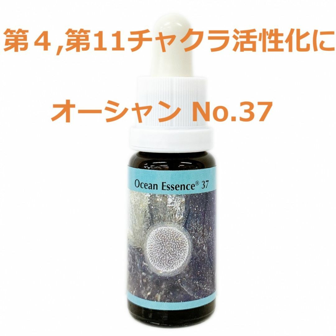 オーシャンエッセンス No.37　コルテPHIエッセンス インテリア/住まい/日用品のキッチン/食器(グラス/カップ)の商品写真