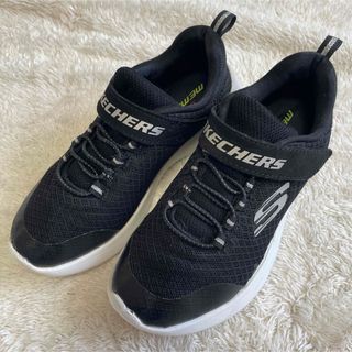 SKECHERS - スケッチャーズ19センチ