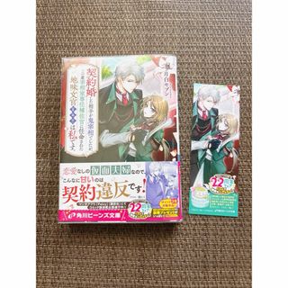 契約婚した相手が鬼宰相でしたが、この度宰相室専任補佐官に任命された地味文官（変装(文学/小説)