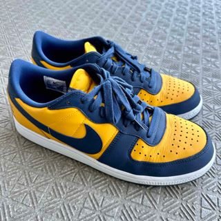 ナイキ(NIKE)のNike Terminator Low  ナイキ　ターミネーター　ミシガン(スニーカー)