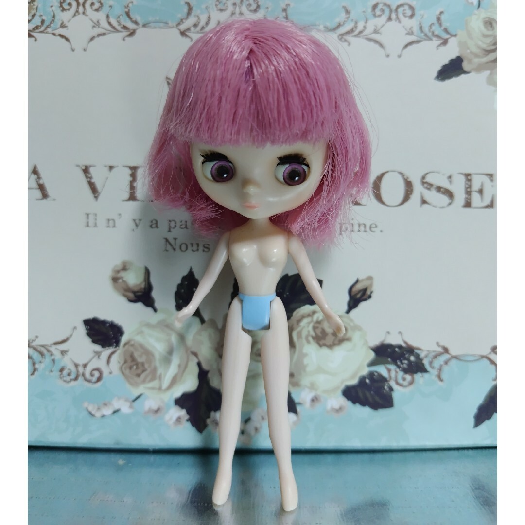 Takara Tomy(タカラトミー)のプチブライス　ミス・サリーライス ハンドメイドのぬいぐるみ/人形(人形)の商品写真