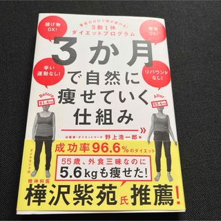 ３か月で自然に痩せていく仕組み(その他)