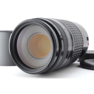 キヤノン(Canon)の✨極美品✨キャノン EF 75-300mm USM❤️高倍率で楽しむ望遠レンズ！(レンズ(ズーム))