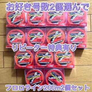 匿名配送フロロカーボン100% フロロカーボンライン2個チョイス　道糸ハリス