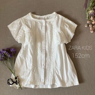 ZARA ザラキッズ ボリュームフリルレース袖 デザインブラウス152