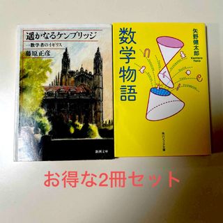 遙かなるケンブリッジ 一数学者のイギリス　数学物語　２冊セット(人文/社会)