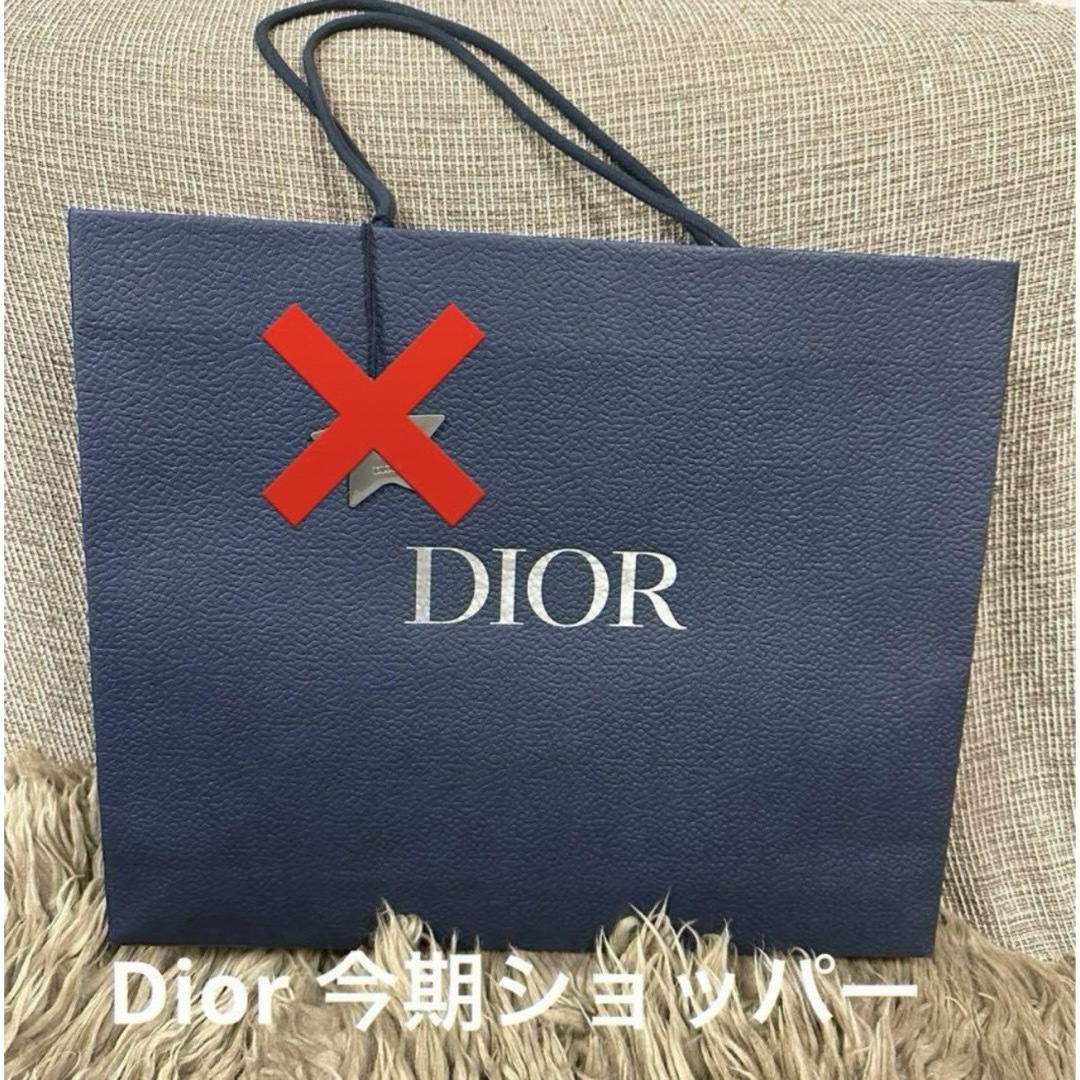 Christian Dior(クリスチャンディオール)のDior 今期ショッパー　大サイズ　即購入可◎ コスメ/美容のコスメ/美容 その他(その他)の商品写真