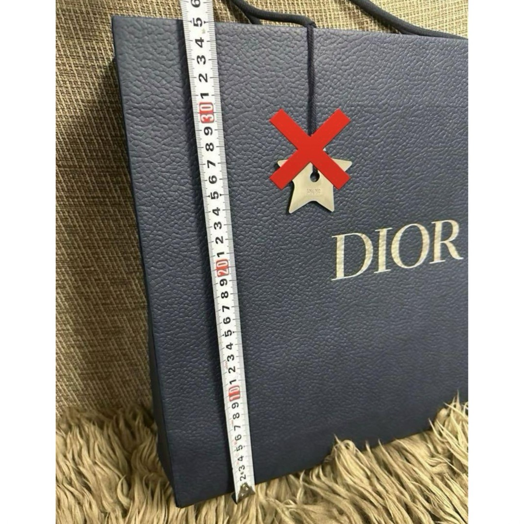Christian Dior(クリスチャンディオール)のDior 今期ショッパー　大サイズ　即購入可◎ コスメ/美容のコスメ/美容 その他(その他)の商品写真