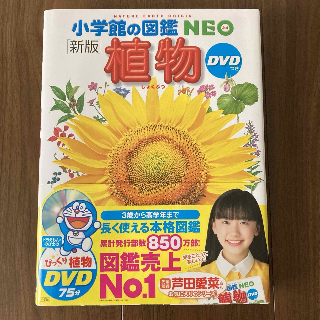 小学館(ショウガクカン)の小学館の図鑑NEO 植物 エンタメ/ホビーの本(絵本/児童書)の商品写真