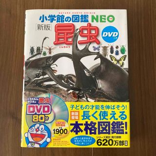 ショウガクカン(小学館)の小学館の図鑑NEO 昆虫(絵本/児童書)