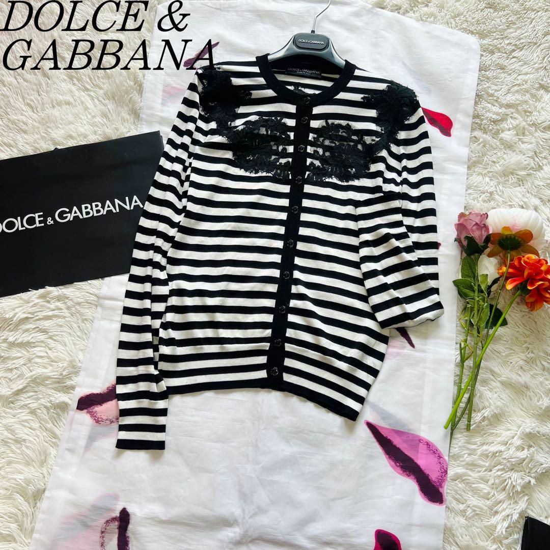 DOLCE&GABBANA(ドルチェアンドガッバーナ)の【美品】DOLCE&GABBANA レースドッキングカーディガン ボーダー レディースのトップス(カーディガン)の商品写真