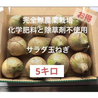 新鮮無農薬栽培　香川県産　玉ねぎ　5000g(野菜)