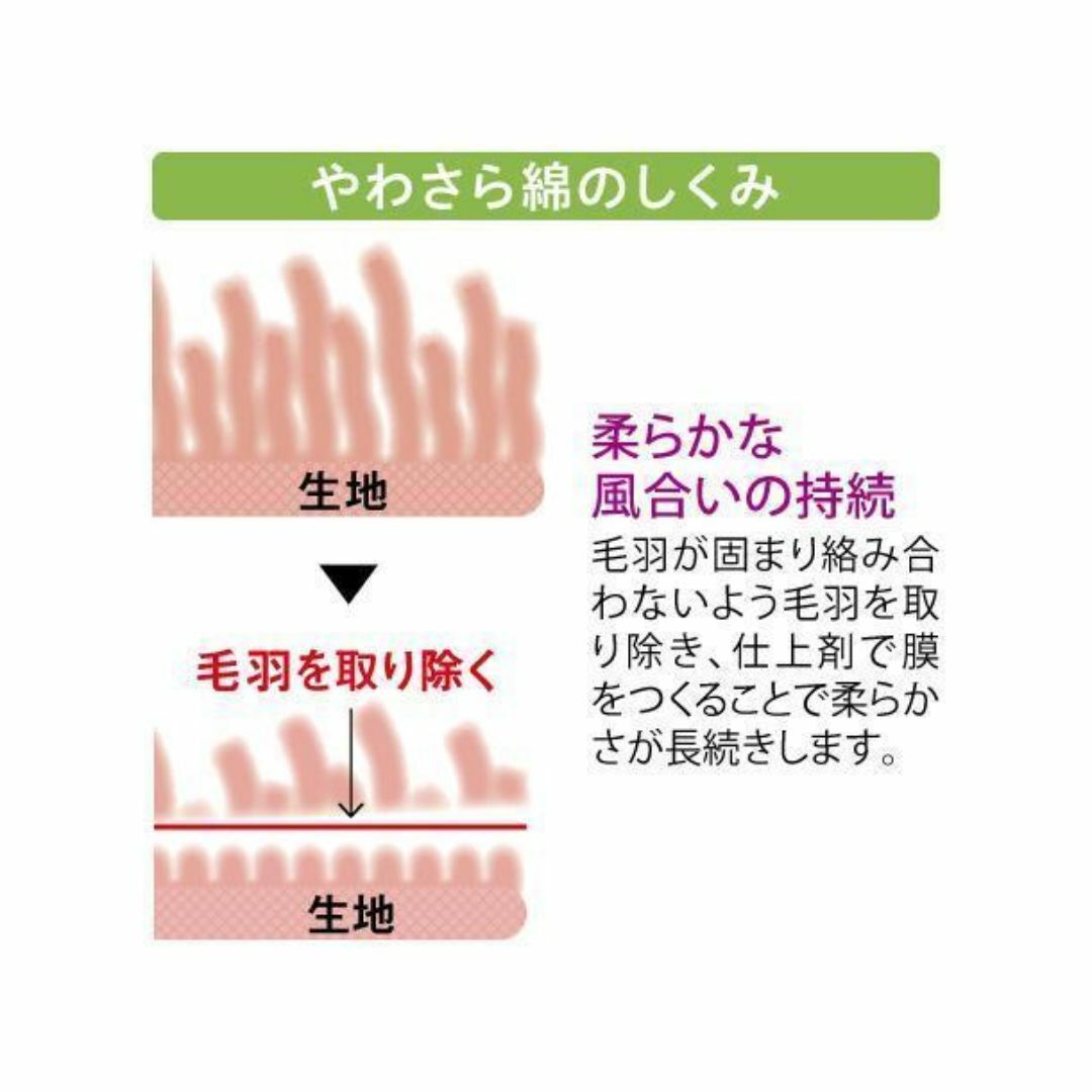 シャルレ(シャルレ)のシャルレ LL やわさら綿 インナー 半袖 ブラック 黒 IA722 レディースの下着/アンダーウェア(アンダーシャツ/防寒インナー)の商品写真