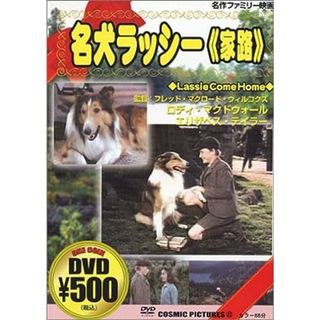 名犬ラッシー/家路 [DVD](外国映画)