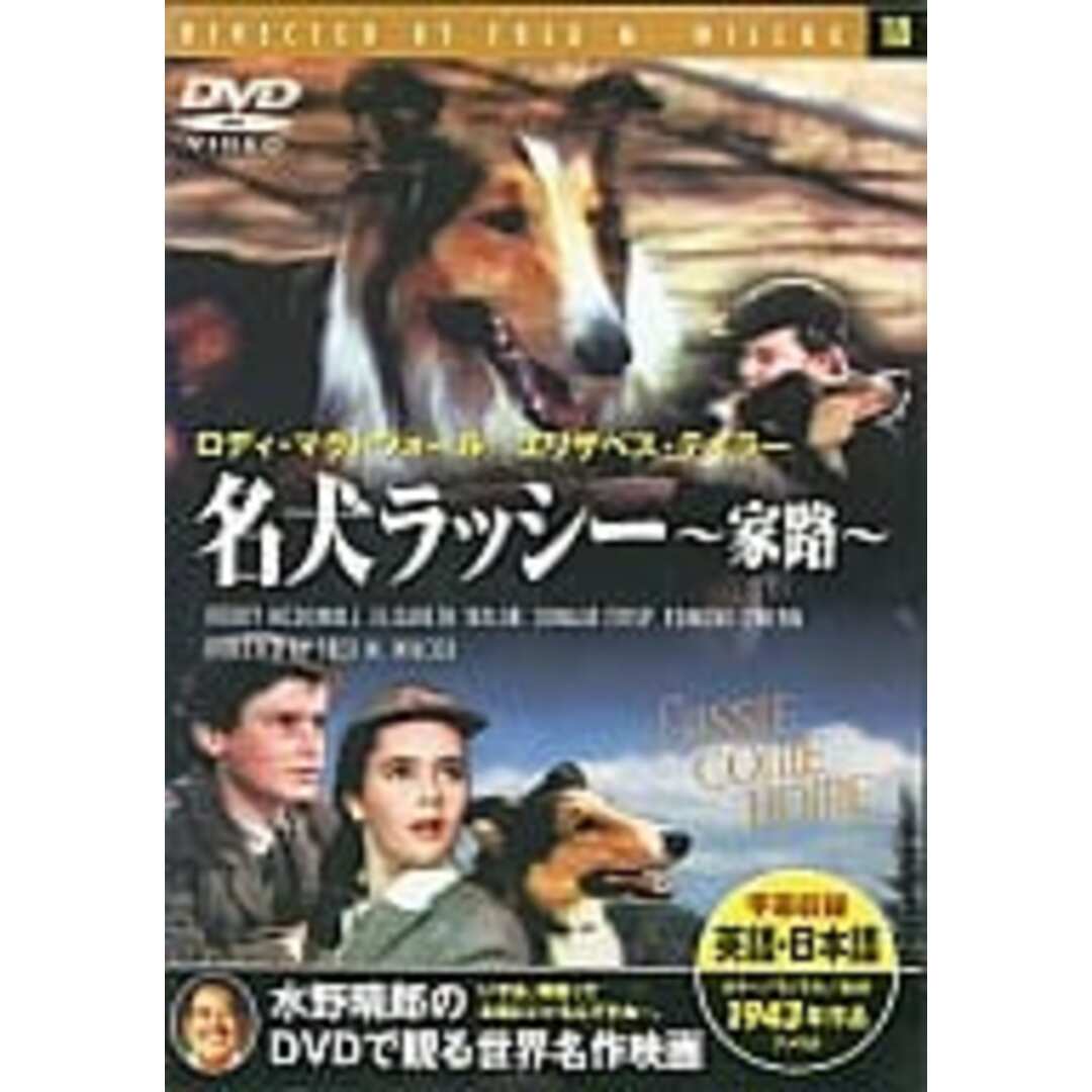 【新品未開封】名犬ラッシー　家路  (DVD) エンタメ/ホビーのDVD/ブルーレイ(外国映画)の商品写真