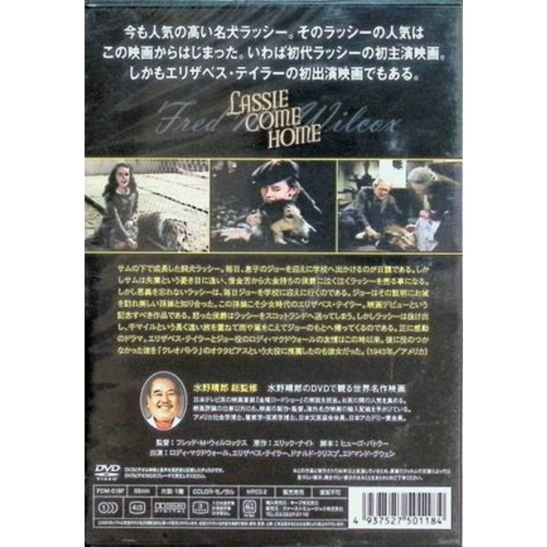 【新品未開封】名犬ラッシー　家路  (DVD) エンタメ/ホビーのDVD/ブルーレイ(外国映画)の商品写真