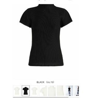 プリーツプリーズイッセイミヤケ(PLEATS PLEASE ISSEY MIYAKE)のMIST BASICS プリーツプリーズ トップス(カットソー(半袖/袖なし))