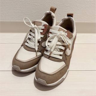 DIANA - 新品 人気 DIANA chayコラボ フラワーモチーフ スニーカーの DIANA - 新品 人気 DIANA chayコラボ フラワーモチーフ スニーカーの