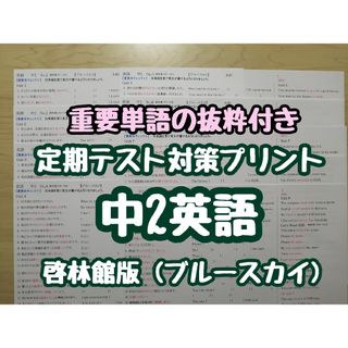 英語教材定期テスト対策(単語抜粋付き) (中2)　(ブルースカイR5&6年度版)(語学/参考書)