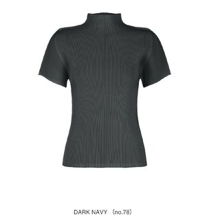 プリーツプリーズイッセイミヤケ(PLEATS PLEASE ISSEY MIYAKE)のミストエイプリル プリーツプリーズ トップス(カットソー(半袖/袖なし))