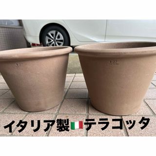 新品　2個セット　イタリア製　テラコッタ　植木鉢  グレー　素焼き　ポット　M(プランター)