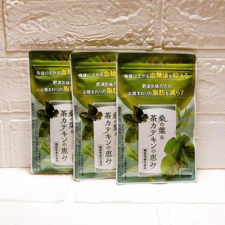 和漢の森 - 和漢の森 桑の葉&茶カテキンの恵み  120粒入×3袋