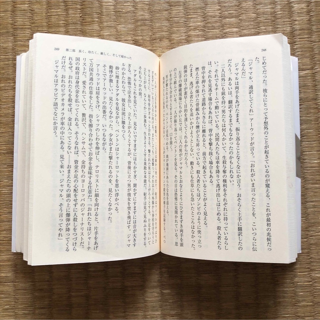 砂漠の空から冷凍チキン（集英社）／デレク・B・ミラー（加藤洋子　訳） エンタメ/ホビーの本(文学/小説)の商品写真