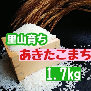 里山育ち　あきたこまち1.7kg(精米・令和5年産)(米/穀物)