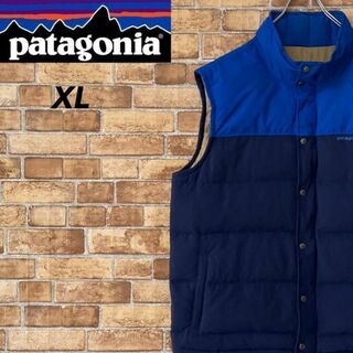 パタゴニア(patagonia)のパタゴニア　ダウンベスト　ビッグシルエット　刺繍ロゴ　アウトドア　ブルー　XL(その他)