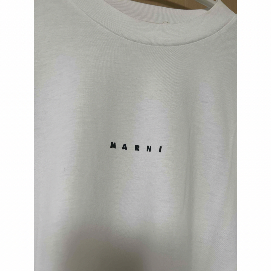 Marni(マルニ)のmarni ロゴTシャツ レディースのトップス(Tシャツ(半袖/袖なし))の商品写真