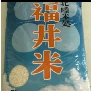 お米5kg(米/穀物)