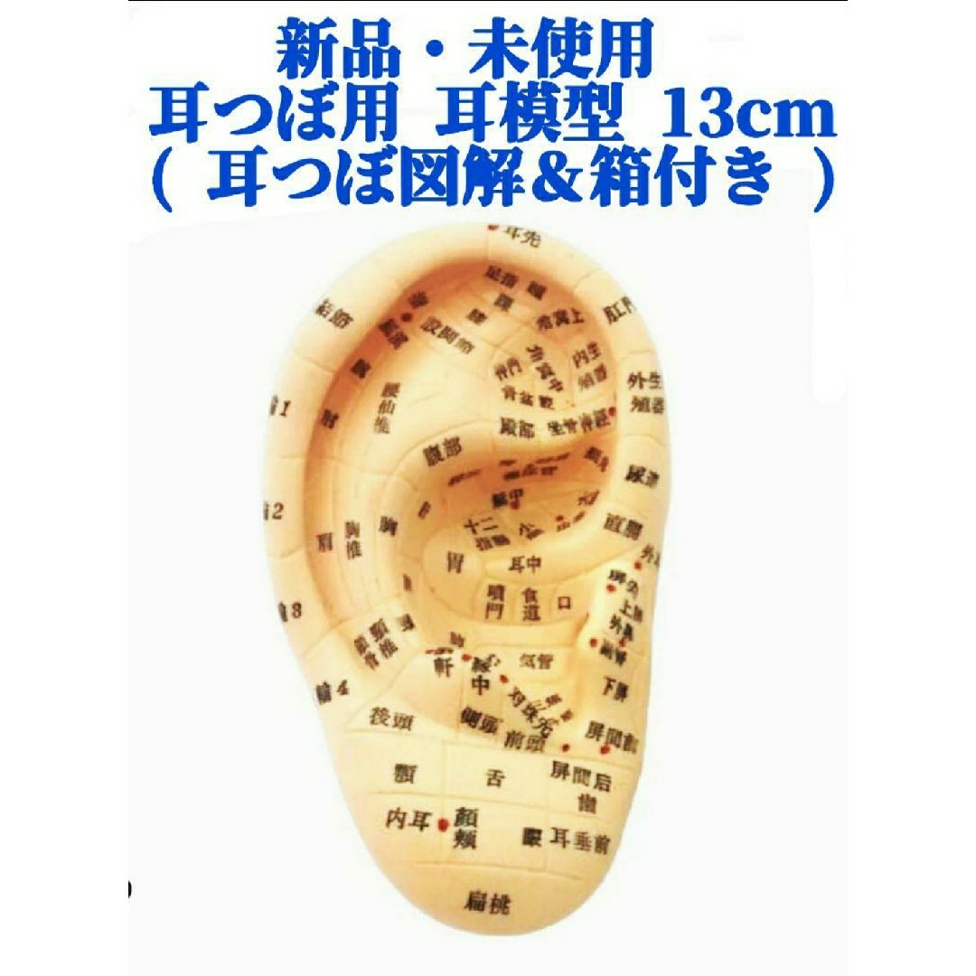 【新品・未使用】耳つぼ用 耳模型１３cm ( 耳つぼ図解付き 箱付き ) その他のその他(その他)の商品写真