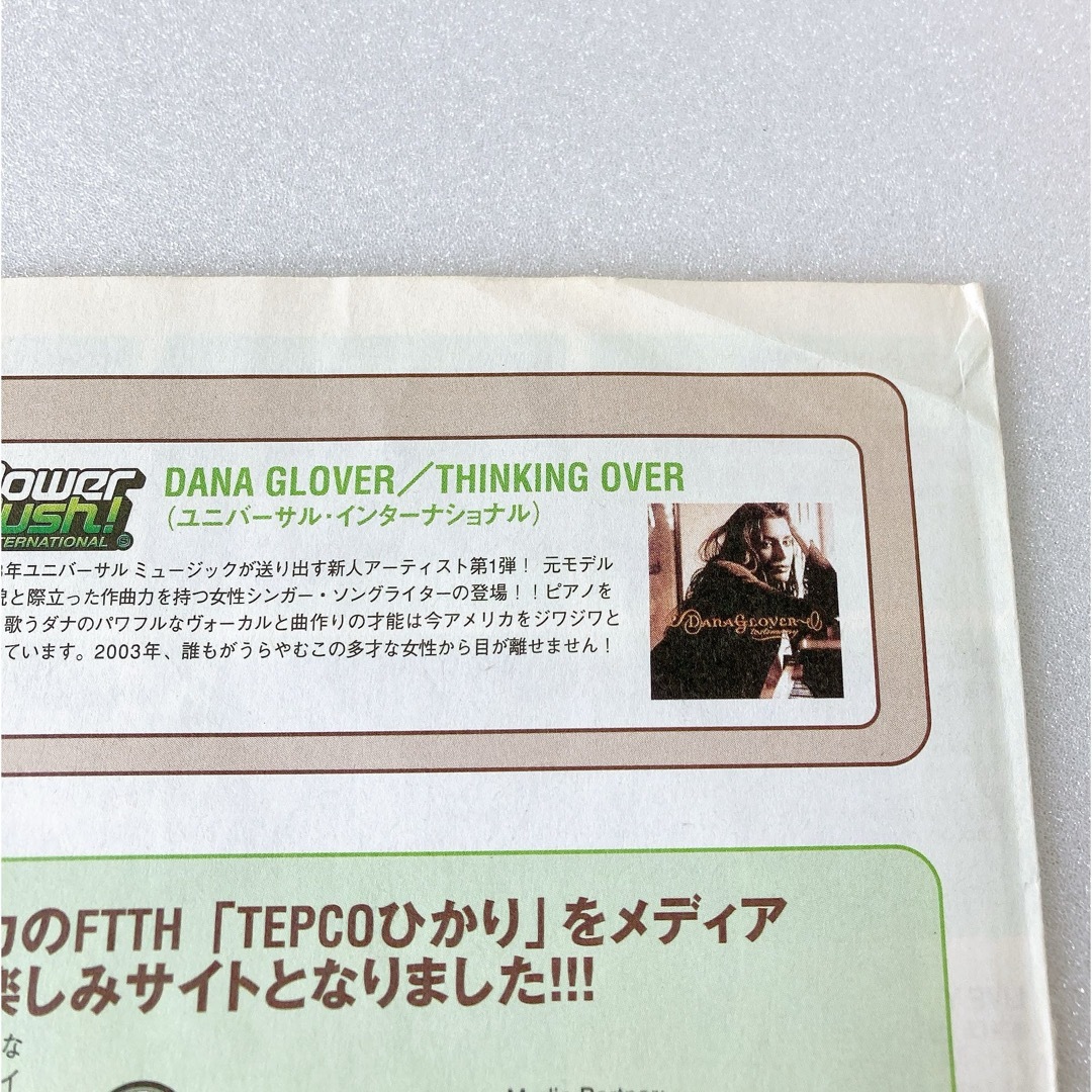 椎名林檎　フリーペーパー エンタメ/ホビーのタレントグッズ(ミュージシャン)の商品写真