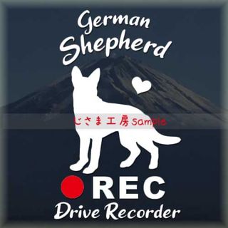 ワンコのかわいいドラレコステッカー‼︎『︎DRIVE RECORDER』