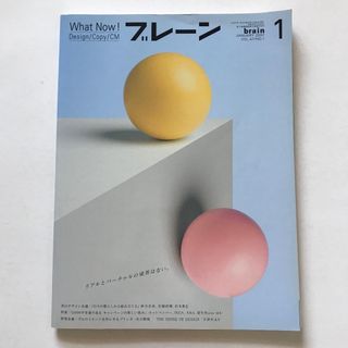 ブレーン　雑誌 2007年 1月(ビジネス/経済/投資)