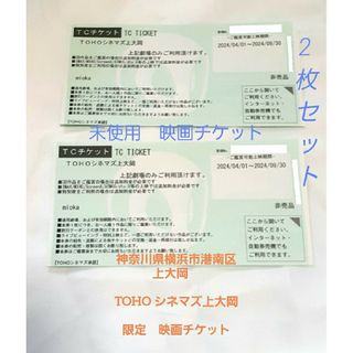 非売品横浜市上大岡ミオカTOHOシネマズ限定映画館のみ鑑賞限定チケット2枚セット(その他)