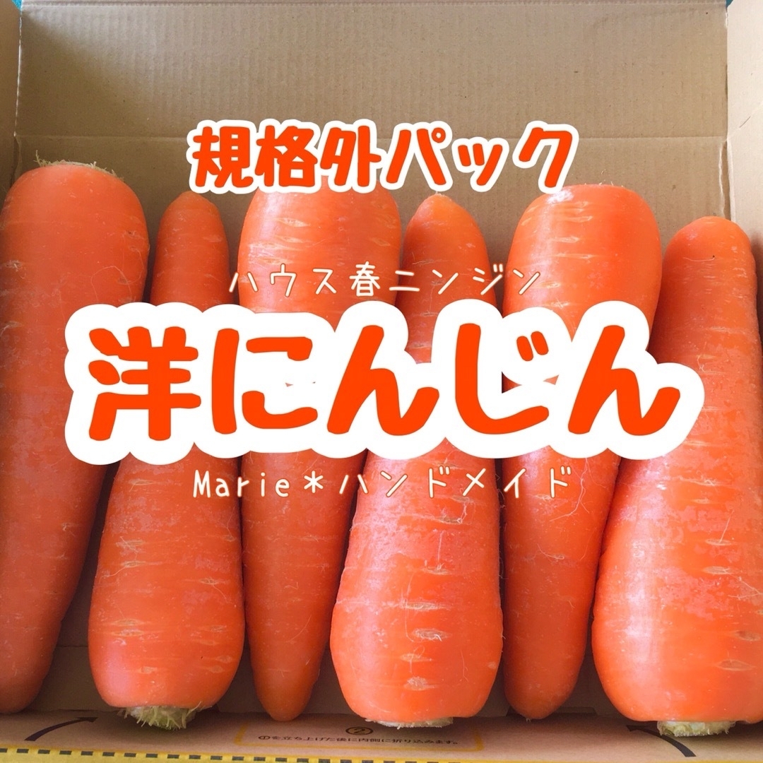 【規格外】洋にんじん　お試しパック　ハウス　人参　野菜　産地直送　期間限定 食品/飲料/酒の食品(野菜)の商品写真