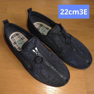 アサヒ　快歩主義　22.0EEE