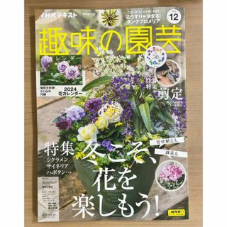 NHK趣味の園芸2023年12月号　冬の寄せ植え/シクラメン/庭木バラの剪定(趣味/スポーツ)