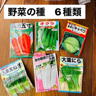 野菜の種　6種類(野菜)