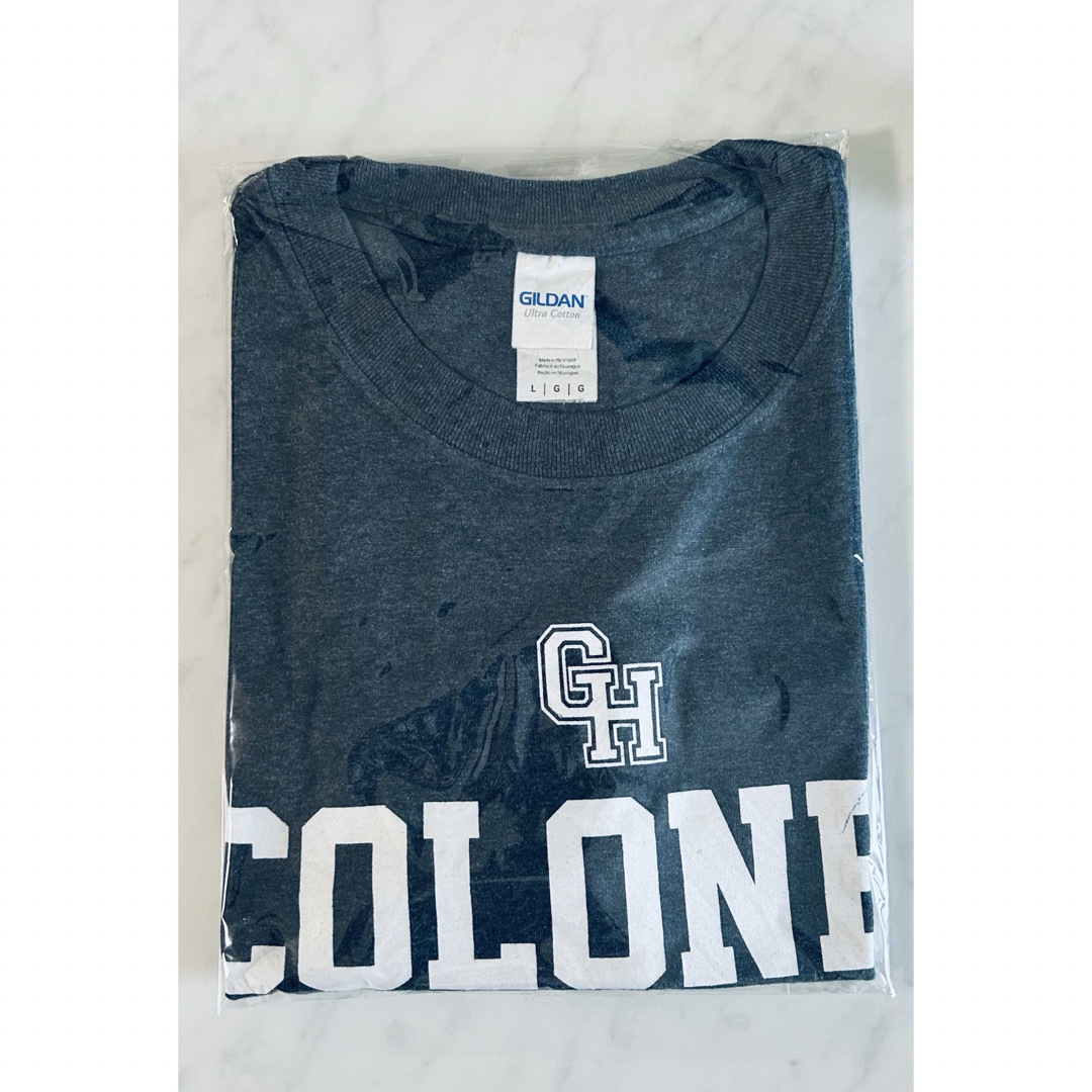 GILDAN(ギルタン)の【US古着】GILDAN baseball Tシャツ(L / ブルーグレー系) メンズのトップス(Tシャツ/カットソー(半袖/袖なし))の商品写真