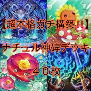 ユウギオウ(遊戯王)の遊戯王【超本格ガチ構築！！】ナチュル神碑デッキ４０枚(Box/デッキ/パック)