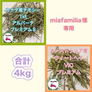 ★miafamilia様専用★おまとめ2種(ペットフード)